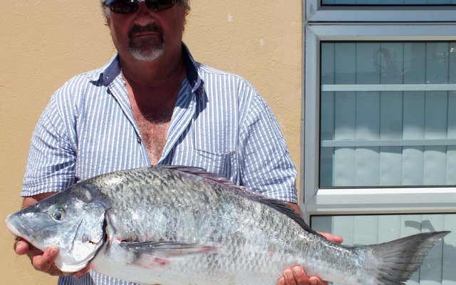 Hierdie pragtige wit steenbras (5.3kg) is deur klublid De Wet Gilliomee van die Birkenhead Boothengelklub tydens die klub se 2de 2015-boothengelkompetisie op Saterdag, 4 Januarie 2015 gevang. 